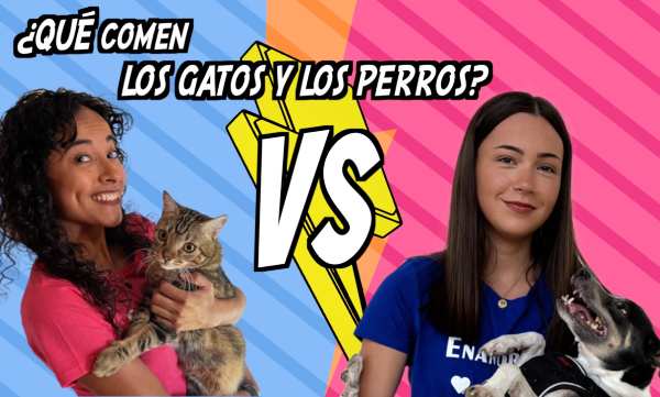 Una chica tiene un gato y otra un perro. Encima suya un rótulo dice: ¿Qué comen los gatos y los perros?
