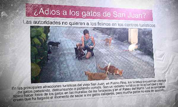 A Spanish newspaper with a photo of a lady surrounded by cats and the headline: "¿Adiós a los gatos de San Juan?"