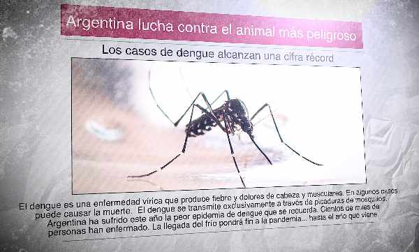 Un diario español con la foto de un mosquito y el titular "Argentina se enfrenta al animal más peligroso"