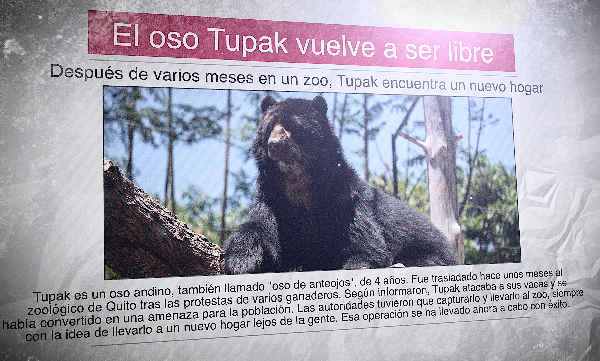 Un periódico con una foro de un oso andino y el titular: "El oso Tupak vuelve a ser libre"