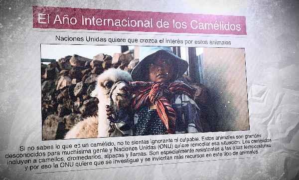 A newspaper in Spanish with the photo of a young indigenous girl and a llama, with the headline: "El Año Internacional de los Camélidos"