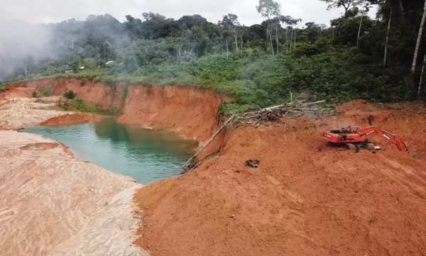 The deforestation of the Amazon rainforest