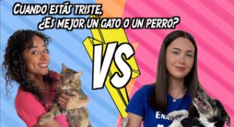 Una chica colombiana sujeta un gato y una joven española tiene un perro. Hay un cartel que dice: &quot;Cuando estás triste, ¿es mejor un gato o un perro?&quot;