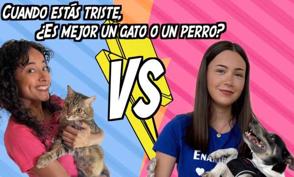 Two women holding a cat and a dog, with colorful backgrounds and the text "Cuando estás triste, ¿es mejor un gato o un perro?