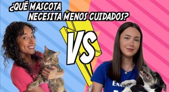 Una chica sujeta a un gato y otra a un perro. Unas letras dicen: ¿Qué mascota necesita menos cuidados?