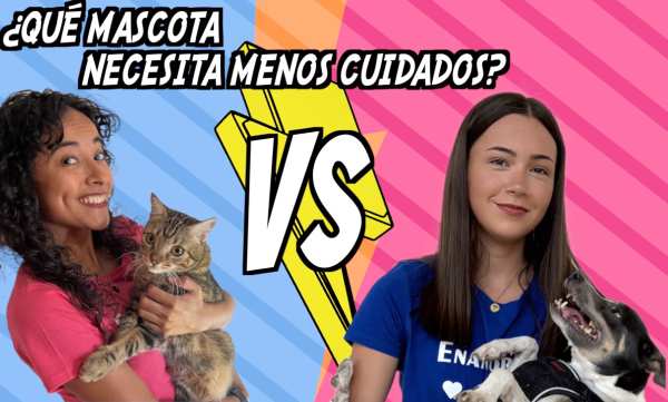 Two Hispanic girls hold their pets: a cat and a dog.