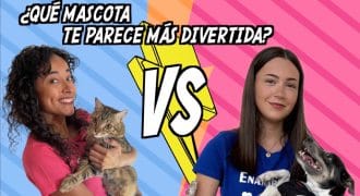 Una chica colombiano sostiene un gato y una joven española posa con su perro. Hay un cartel que dice. &quot;¿Qué mascota te parece más divertida?&quot;