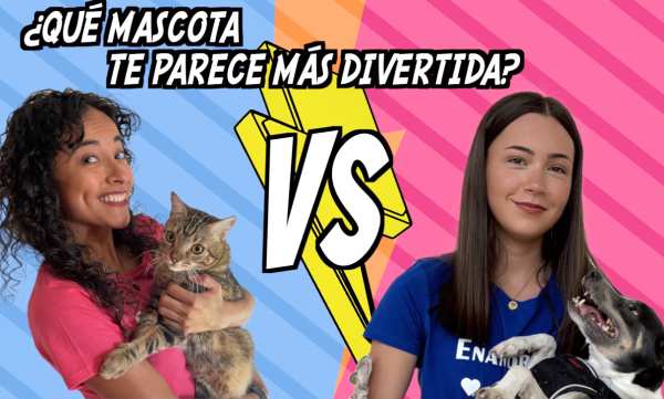 Una chica colombiano sostiene un gato y una joven española posa con su perro. Hay un cartel que dice. "¿Qué mascota te parece más divertida?"