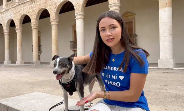 Una chica está con su perro en el parque