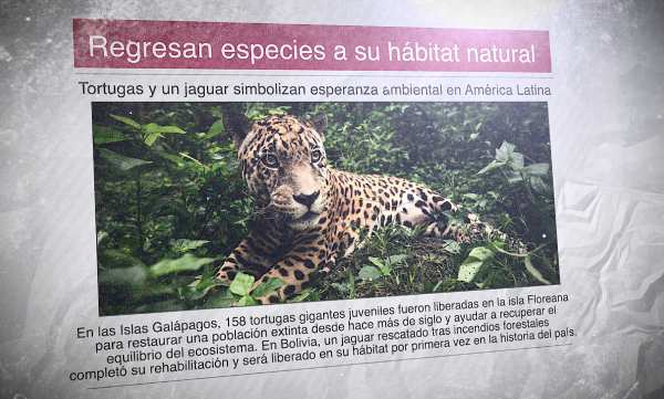 Un diario con la foto de un jaguar y el titular "Regresan especies a su hábitat natural"