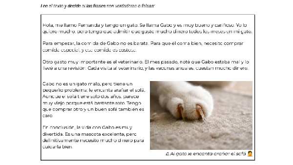 A Spanish reading activity with a text and an image of a cat sharpening its claws on a sofa
